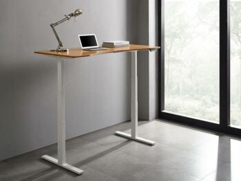 Ascent Hi-Low Desk